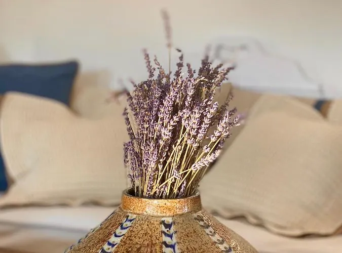 Apartahotel Niriedes