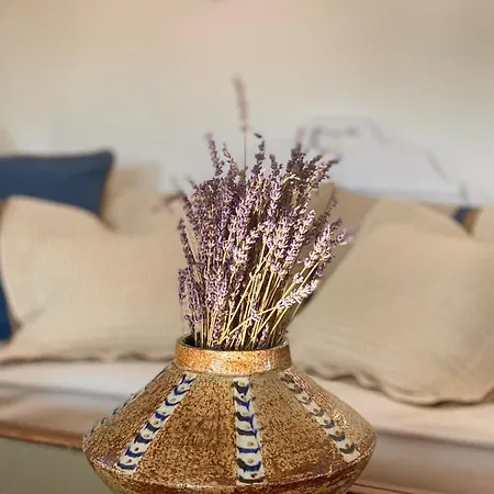 מלון דירות Niriedes
