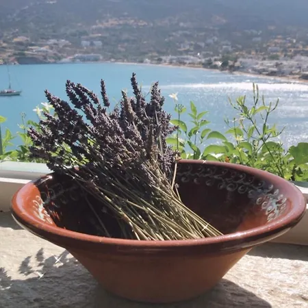 Apartahotel Niriedes Platis Gialos (Sifnos)