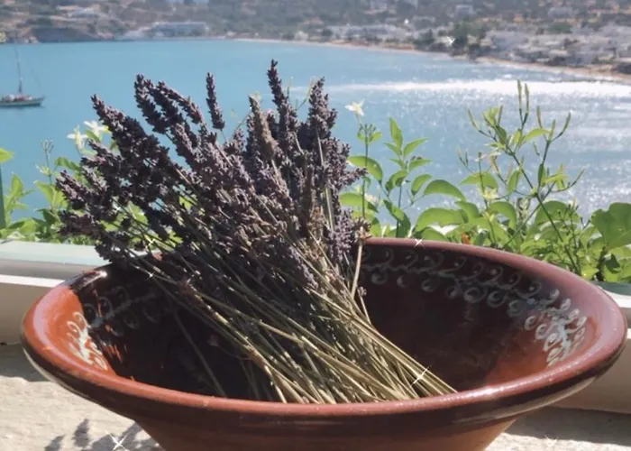 Appart hôtel Niriedes Platis Gialos (Sifnos)